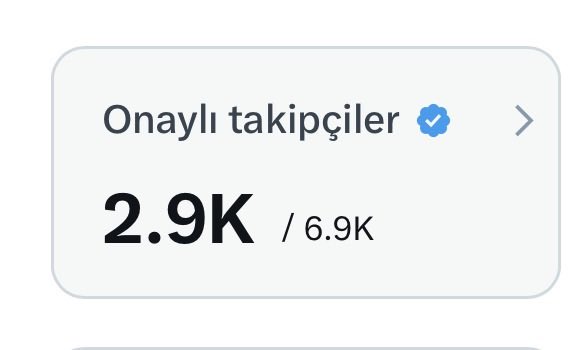 AlyaSun👒 tweet media