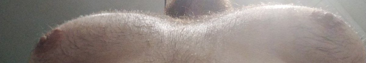 †ZVST† tweet media