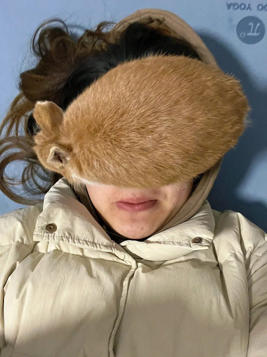 Why you should have a rabbit tweet media