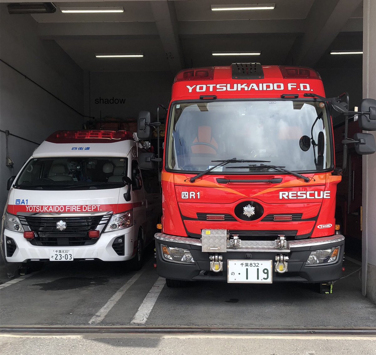 ShadowRescue119 tweet media