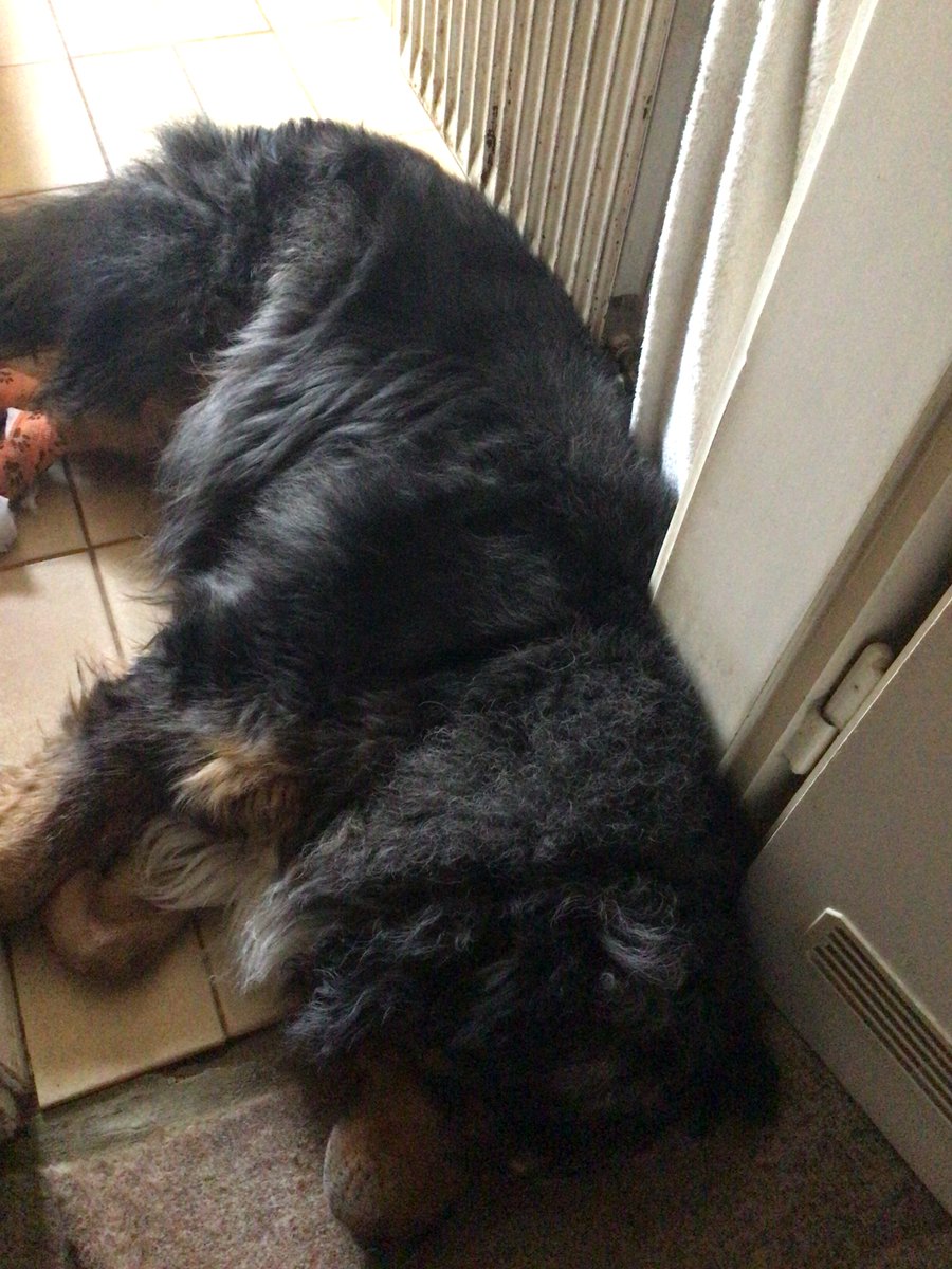 Janosch, Minister für Sofaangelegenheiten 🏅 tweet media