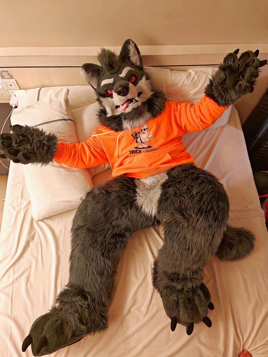 GreyKenny Wolfz 🔜✈️ BAH,FURUM 🇲🇾 / IWAG 🇲🇨 / tweet media