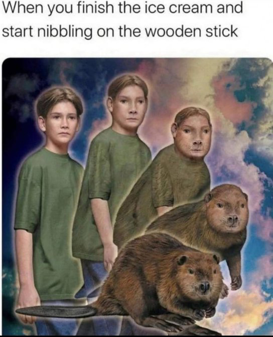 i like food tweet media