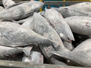 ATUNA News tweet media