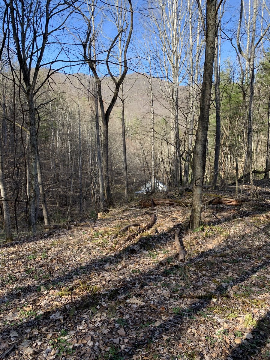 Buffalo Dan tweet media