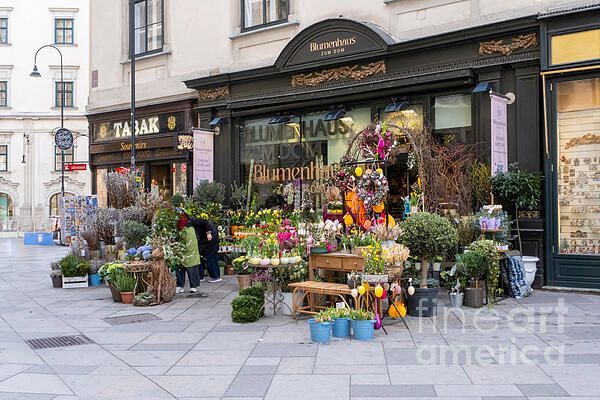 PatriciaPhotos's tweet image. Flower shop in Vienna, Austria fineartamerica.com/featured/flowe…  #finearts #WallArt #homedecor #art #artgallery #artprints #giftideas #AYearForArt #LoveArt  #WALLARTFORSALE #photography #vienna #flowers #flowershop #old #austria