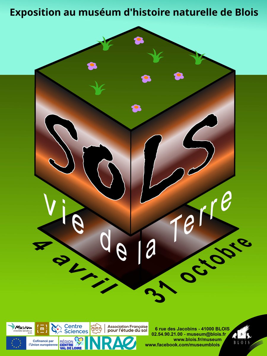 SVT Orléans-Tours tweet media