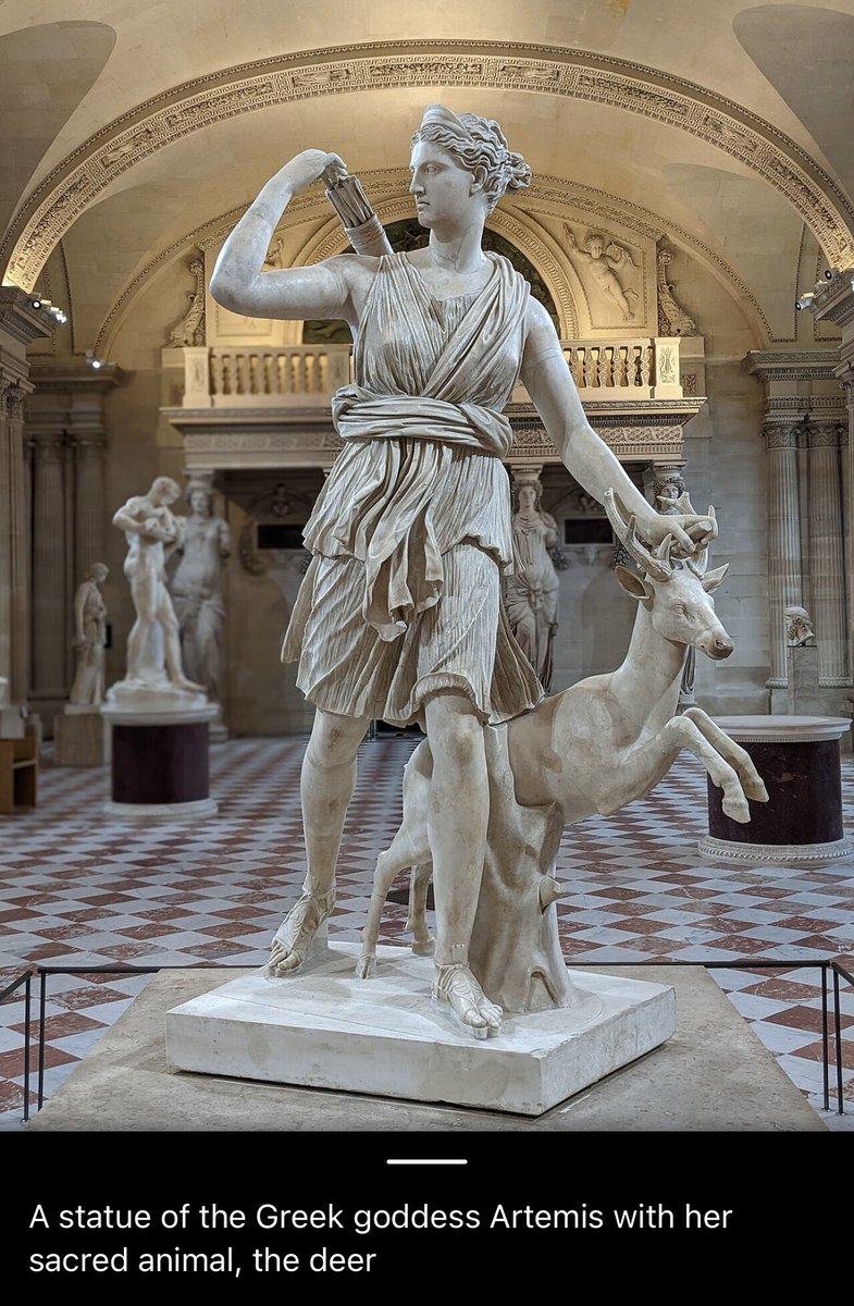 Codey369 tweet media