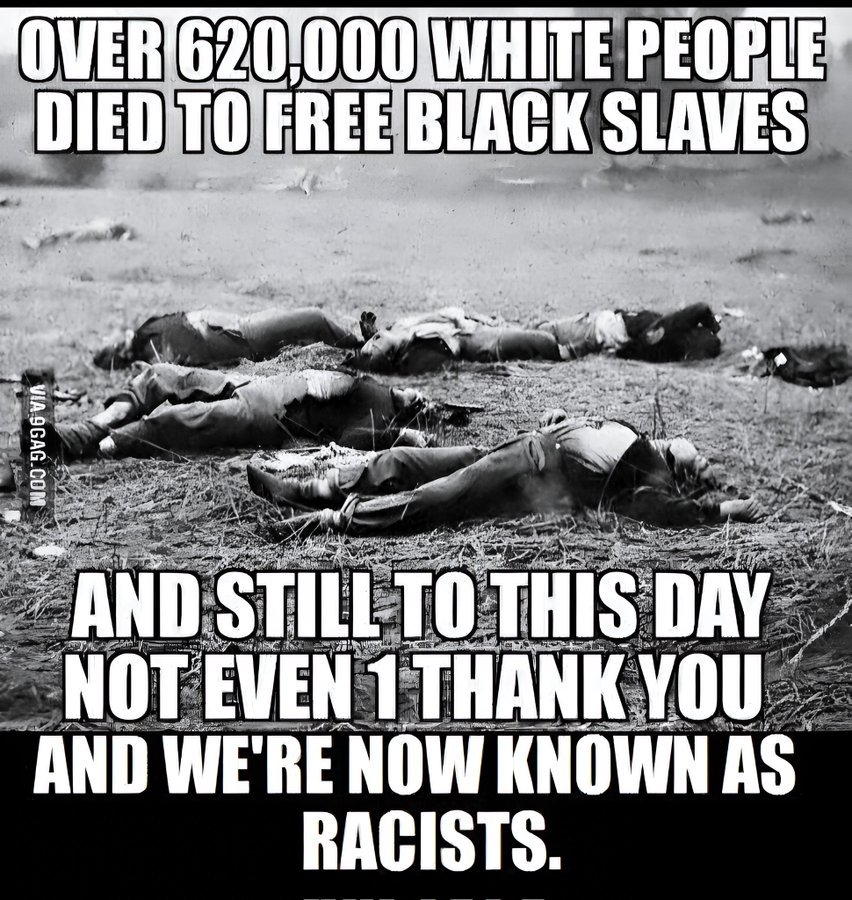 Nigatonie tweet media