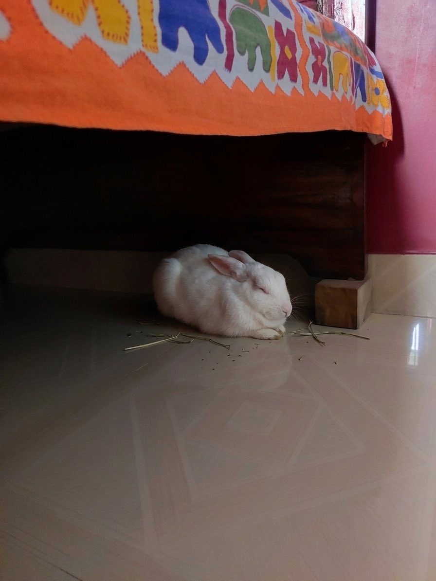 ♉️ 𝕊 𝔻𝔸𝕊 🦋 tweet media