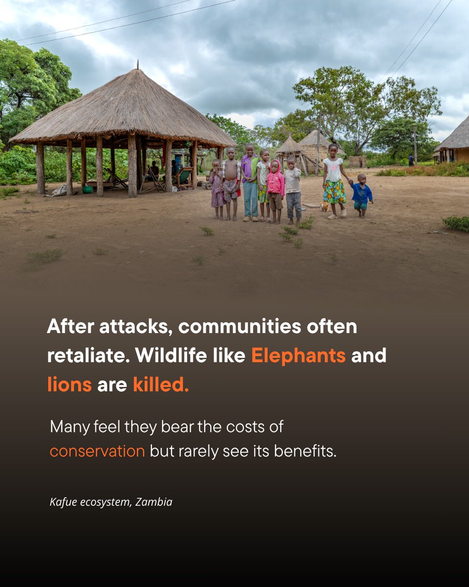 AB Entheos Ltd tweet media