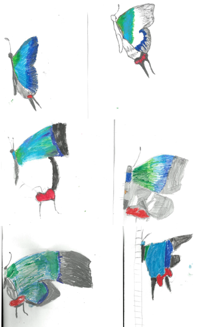 Year4_RCPS's tweet photo. Wonderful water-colour use to create beautiful butterflies for our finished art pieces. 🦋🖌️💛 @RodbourneCheney https://t.co/Z8Z1FMxUyu
