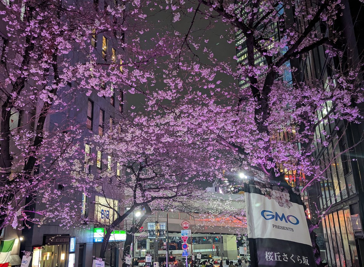 北向き地蔵 tweet media