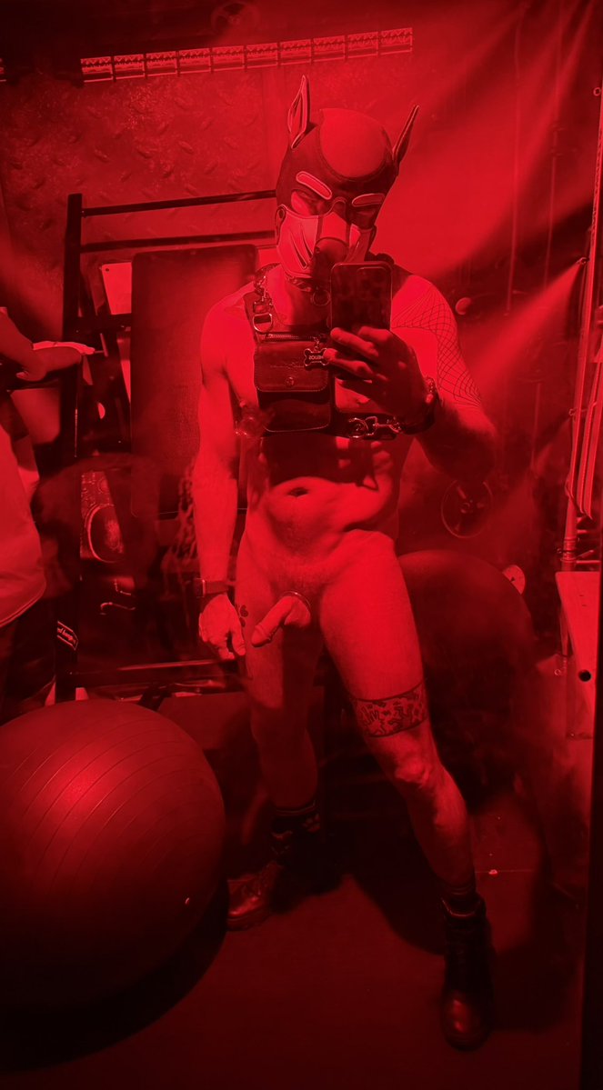 Pup Helios 🔜 Darklands tweet media