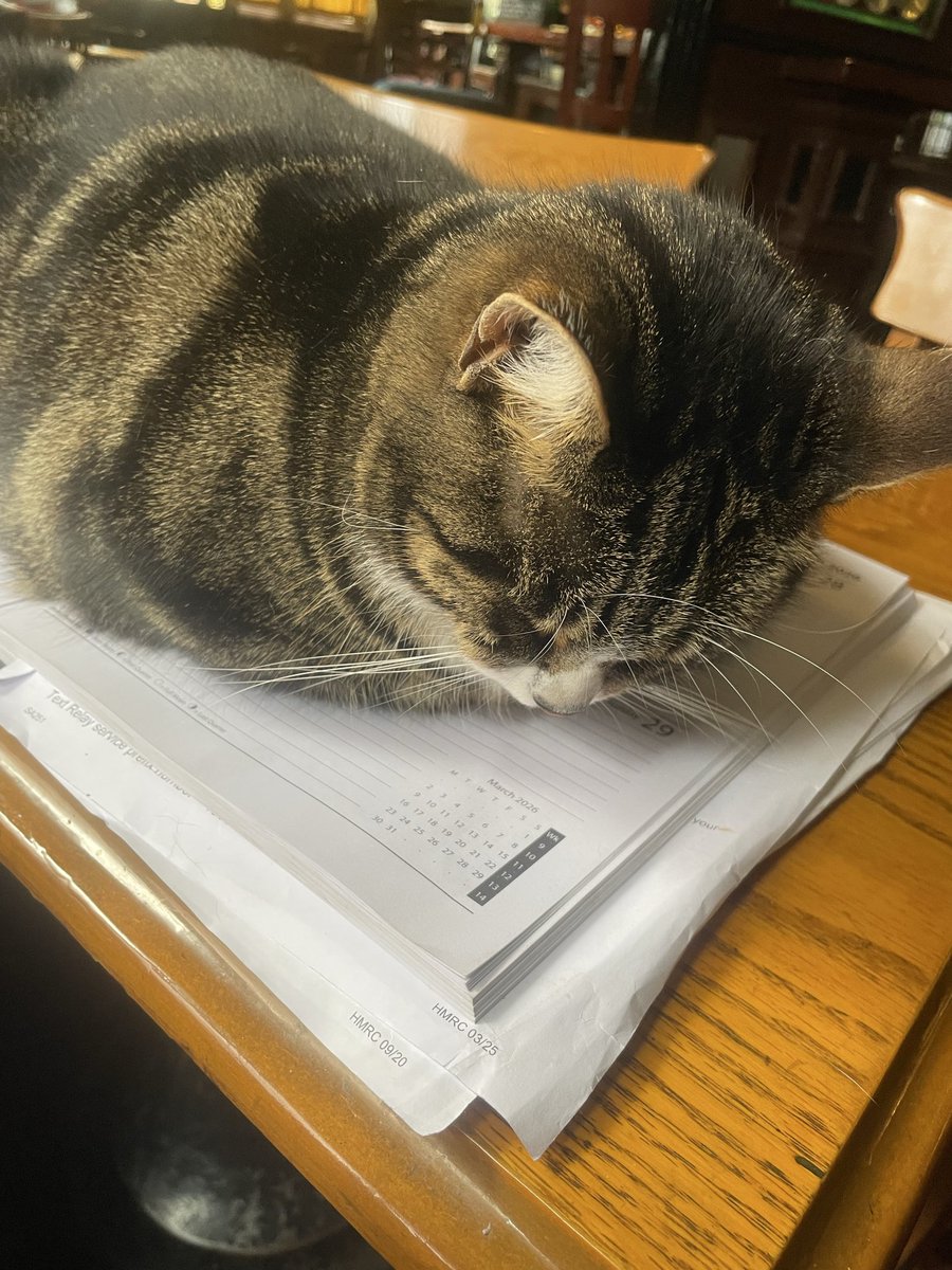 Olde cottage tweet media