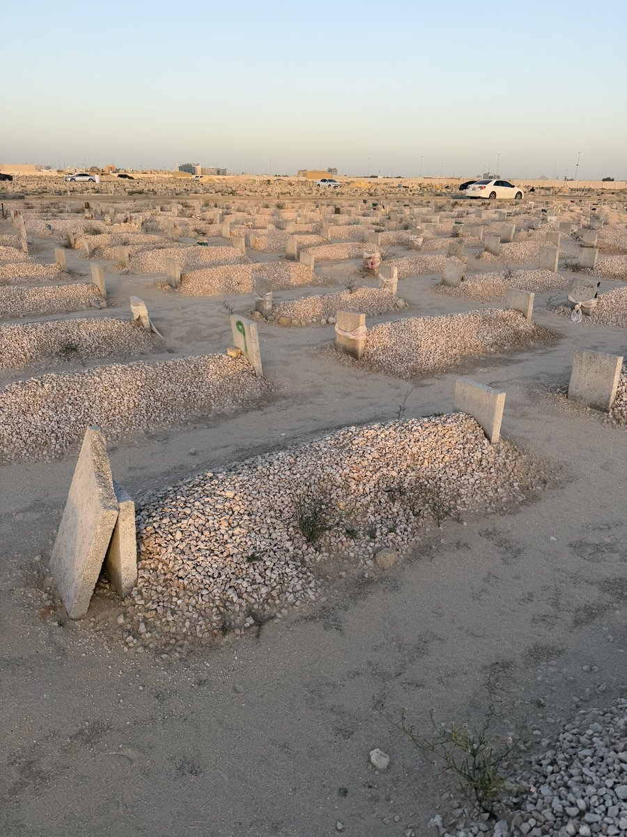 معلا العتيبي tweet media