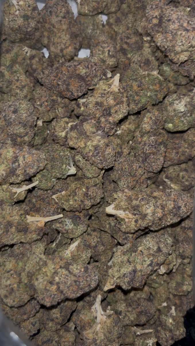 Atl gas plug 🔥⛽️ tweet media