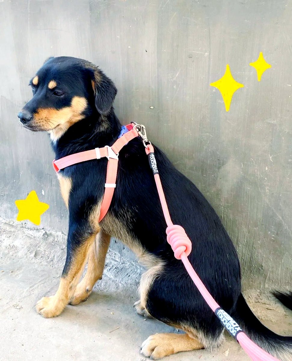 Heather Snider tweet media