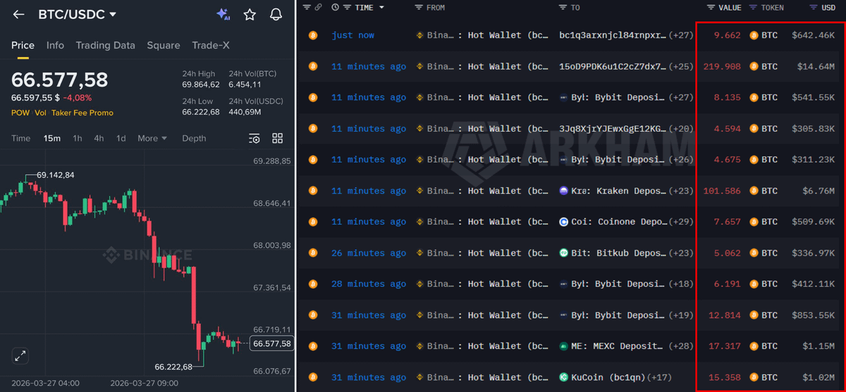 Rekt Fencer tweet media