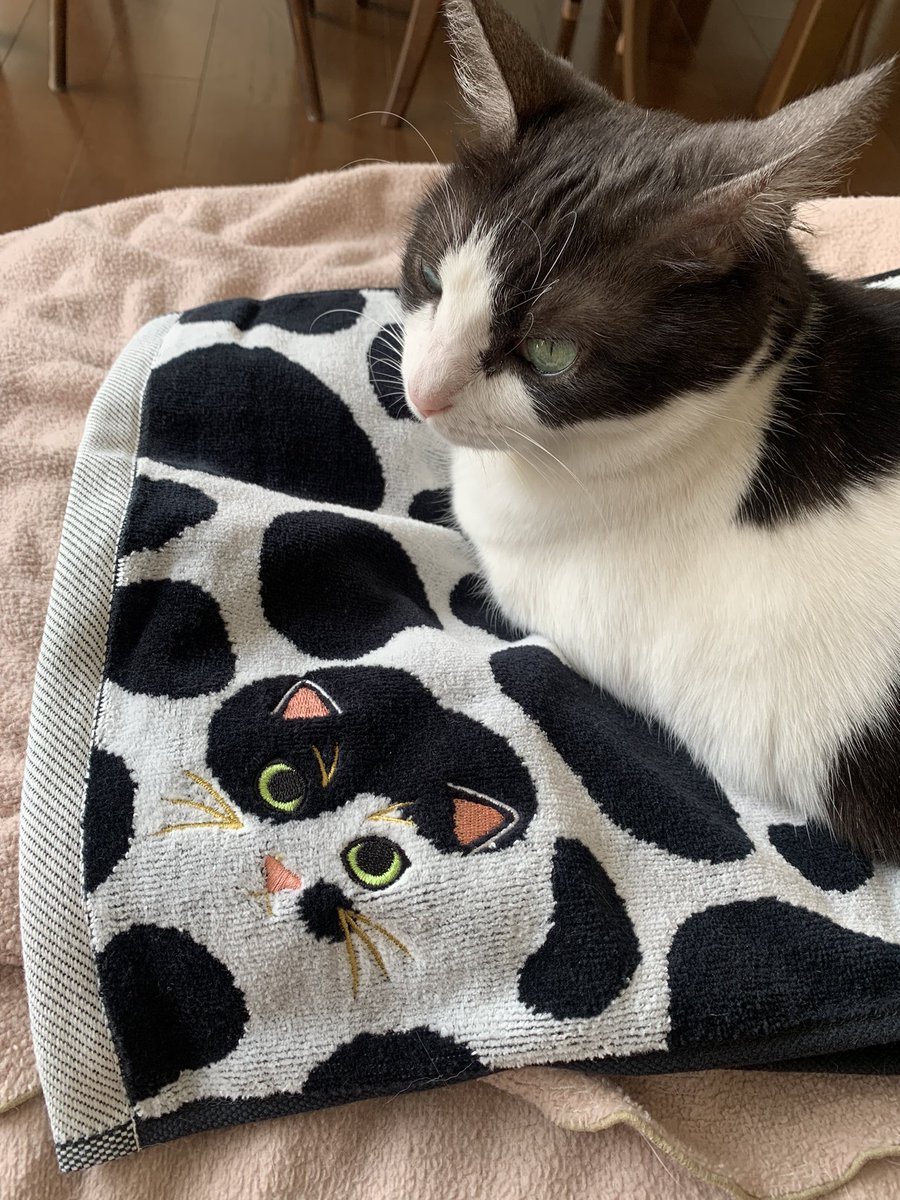 赤木りえ Rie Akagi tweet media