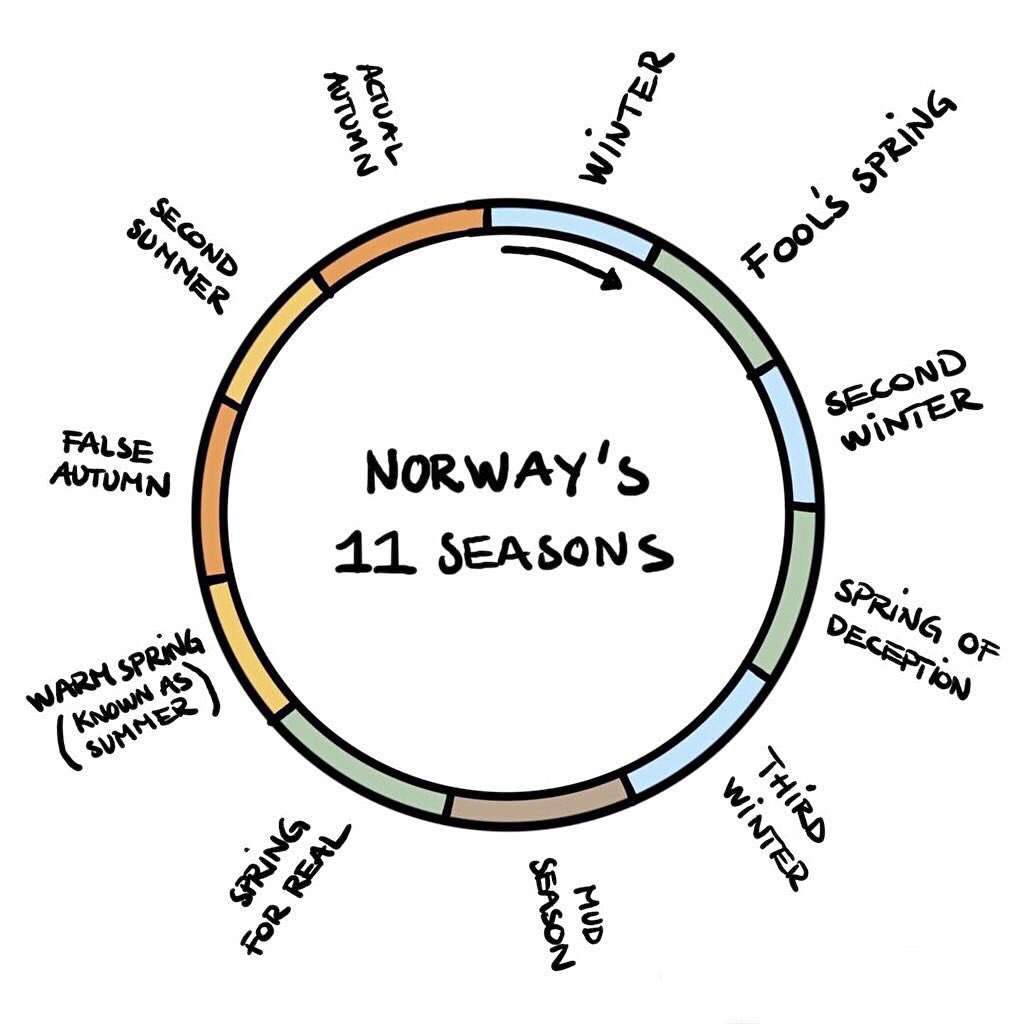 Auðrhild Eldr 🌲 tweet media