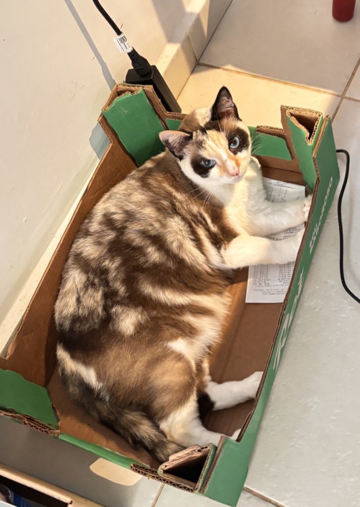 swwfia 🇵🇸 tweet media