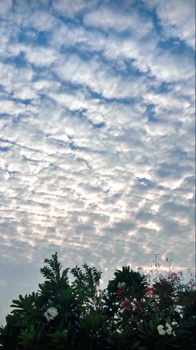 🤍🇸🇦 tweet media