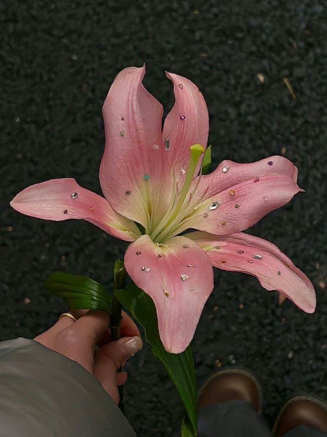 serenity tweet media