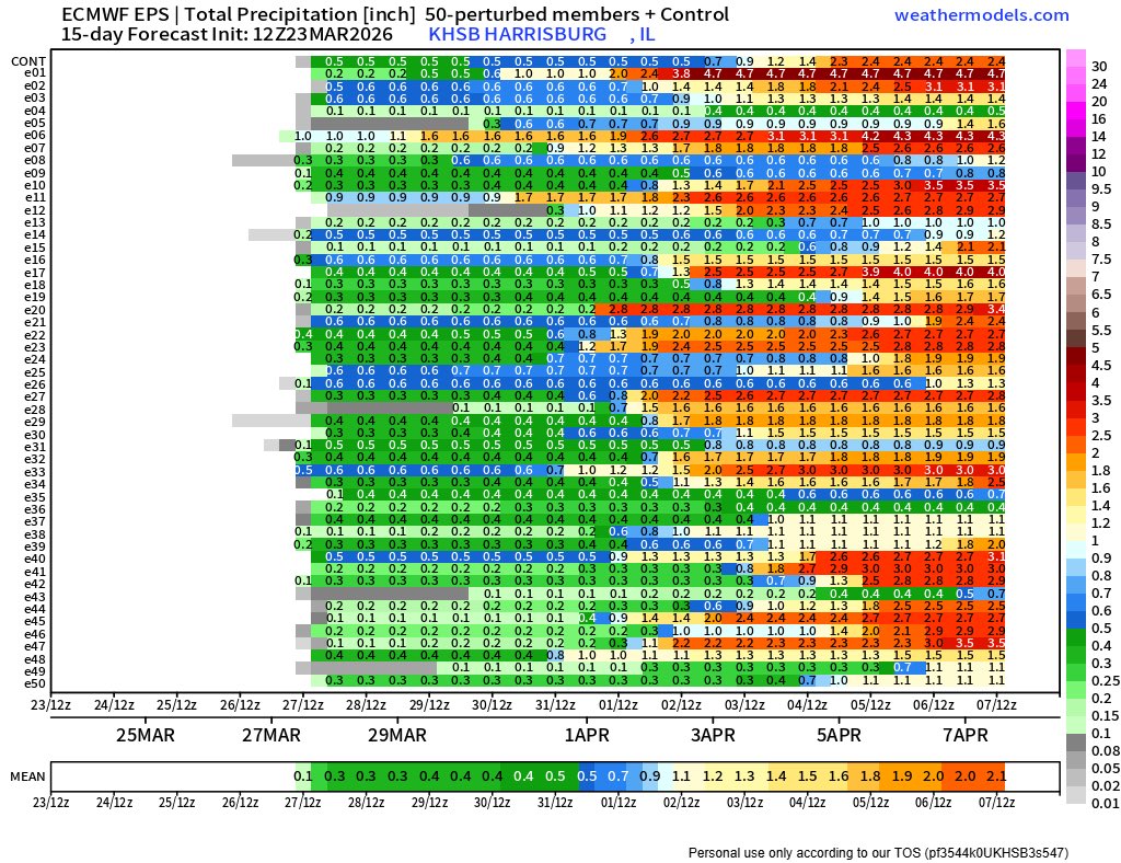 Cody Simmerman tweet media