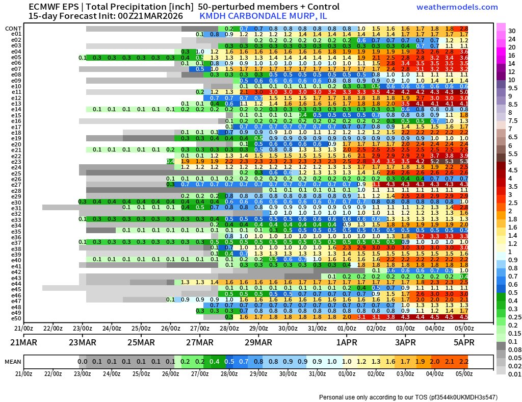 Cody Simmerman tweet media