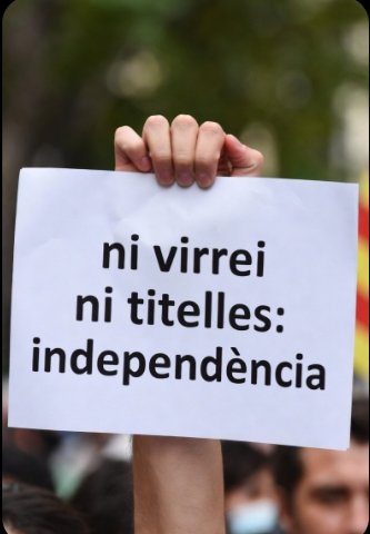 Núria Stubborn tweet media