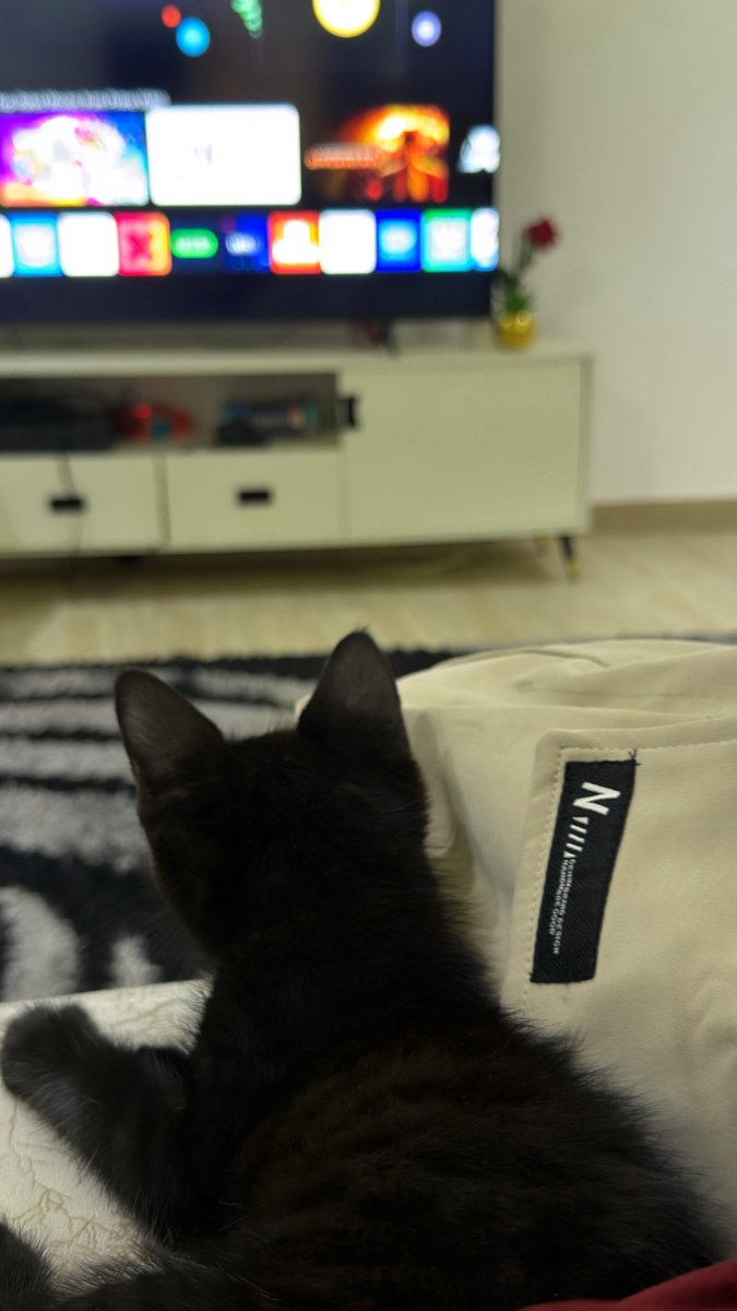 Zilla Trades tweet media