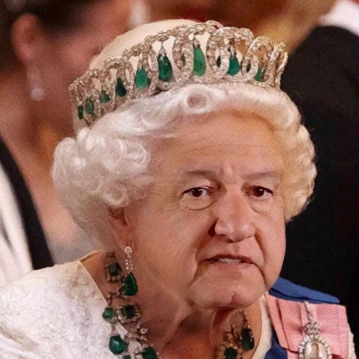 Vivatrium 💎💸🖥️ tweet media