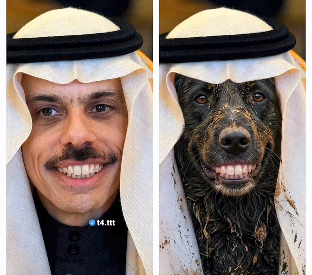 AL SAYYID tweet media