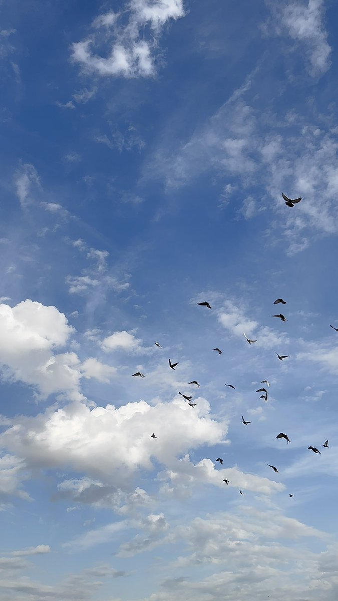 مـلاك tweet media