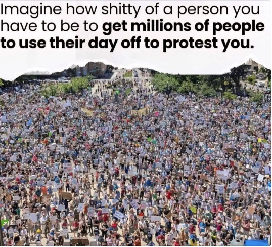 Brown Eyed Susan tweet media