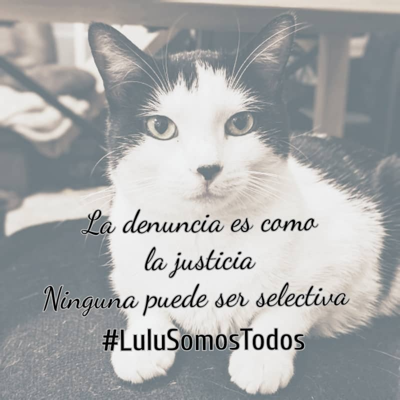 Nutrecajo tweet media