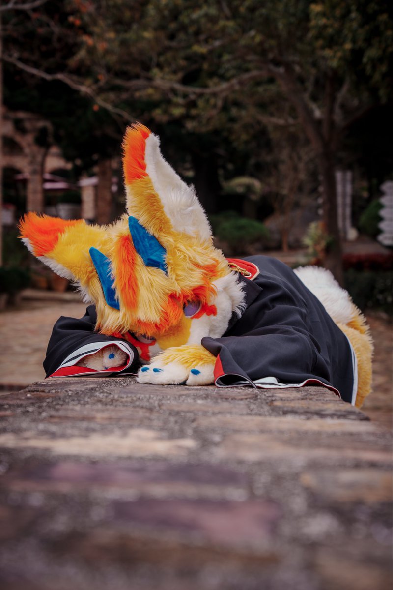 萊菲Lefy tweet media