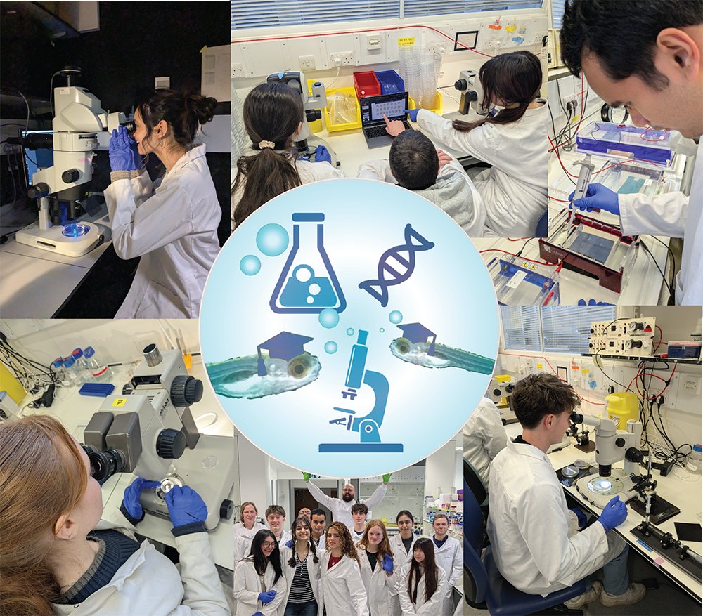 UCL Research Dept of Cell & Developmental Biology tweet media