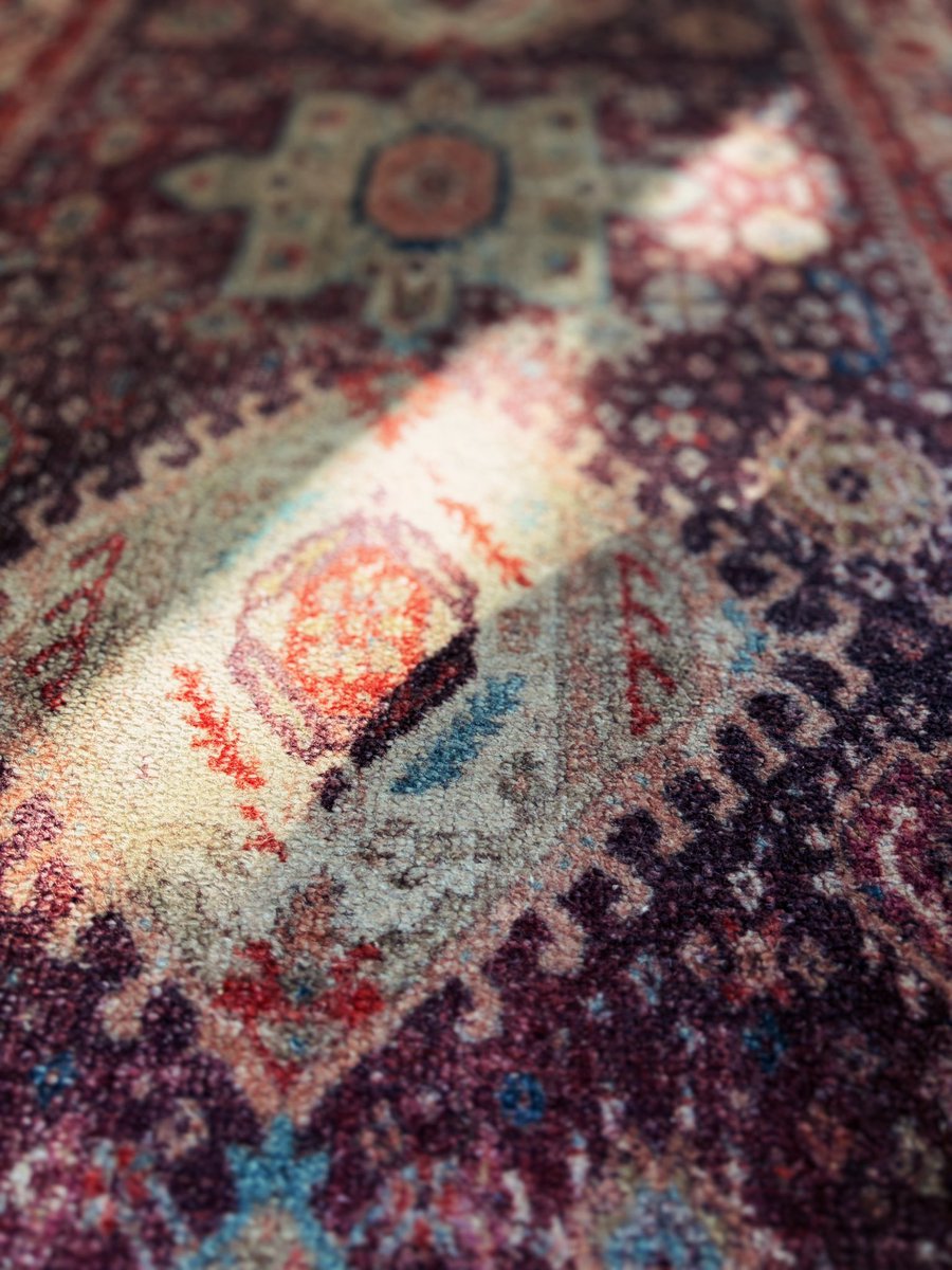 O.W. Root tweet media