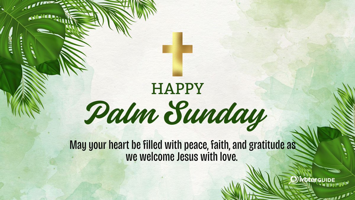 iVoterGuide tweet media