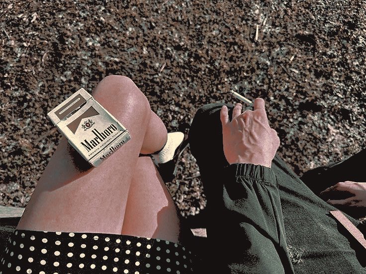 ⁣⊹⁣ ⁣ ⁣ ⁣ ⁣ ⁣ ⁣ ⁣ ⁣ ⁣ ⁣ ⁣ ⁣ ⁣ ⁣ ⁣ ⁣𝓂𝐚𝐢𝐬𝐢𝐞 .ᐟ tweet media