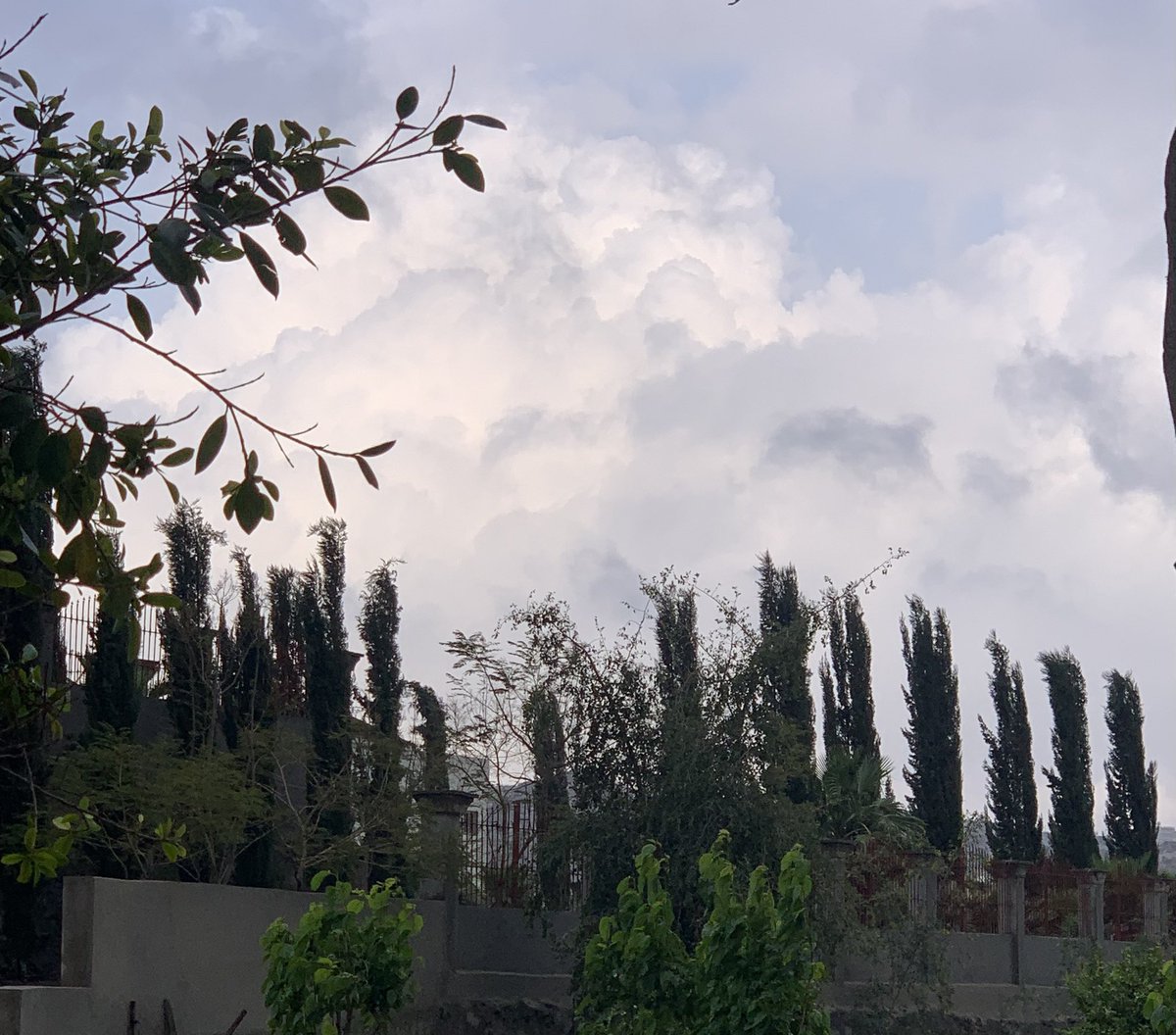 د محمد بن وديان الشهراني tweet media