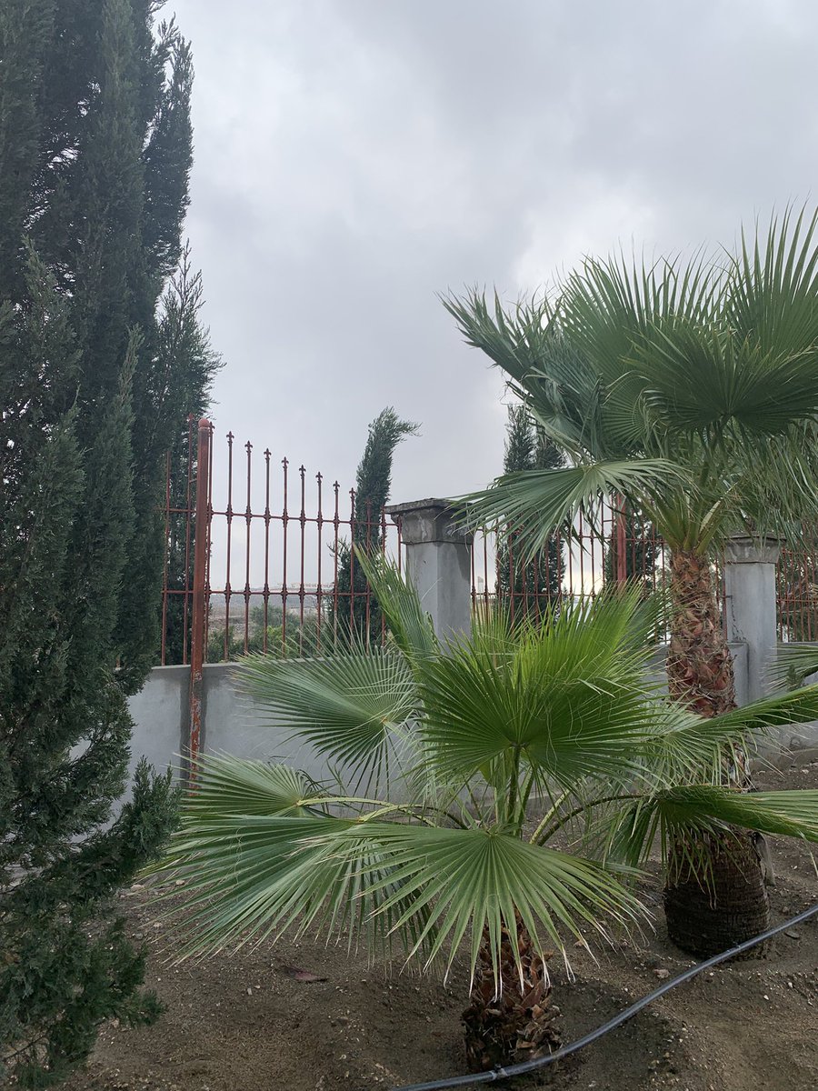 د محمد بن وديان الشهراني tweet media