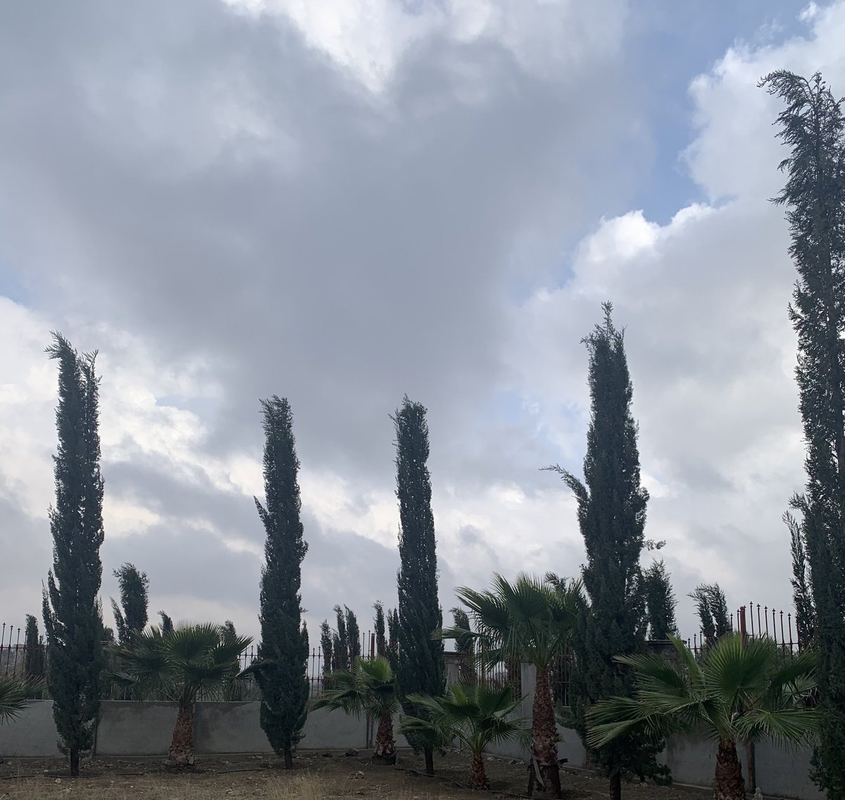 د محمد بن وديان الشهراني tweet media