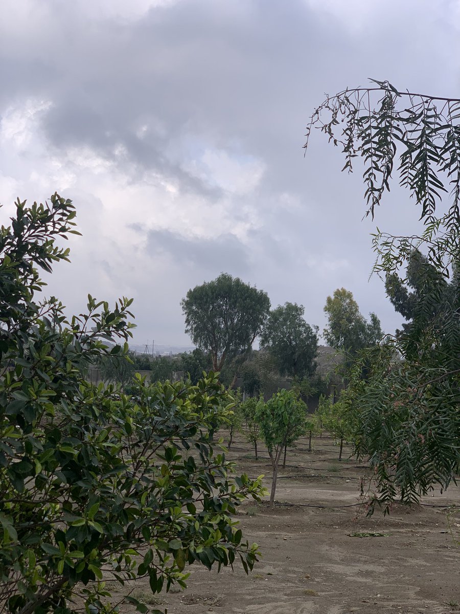 د محمد بن وديان الشهراني tweet media