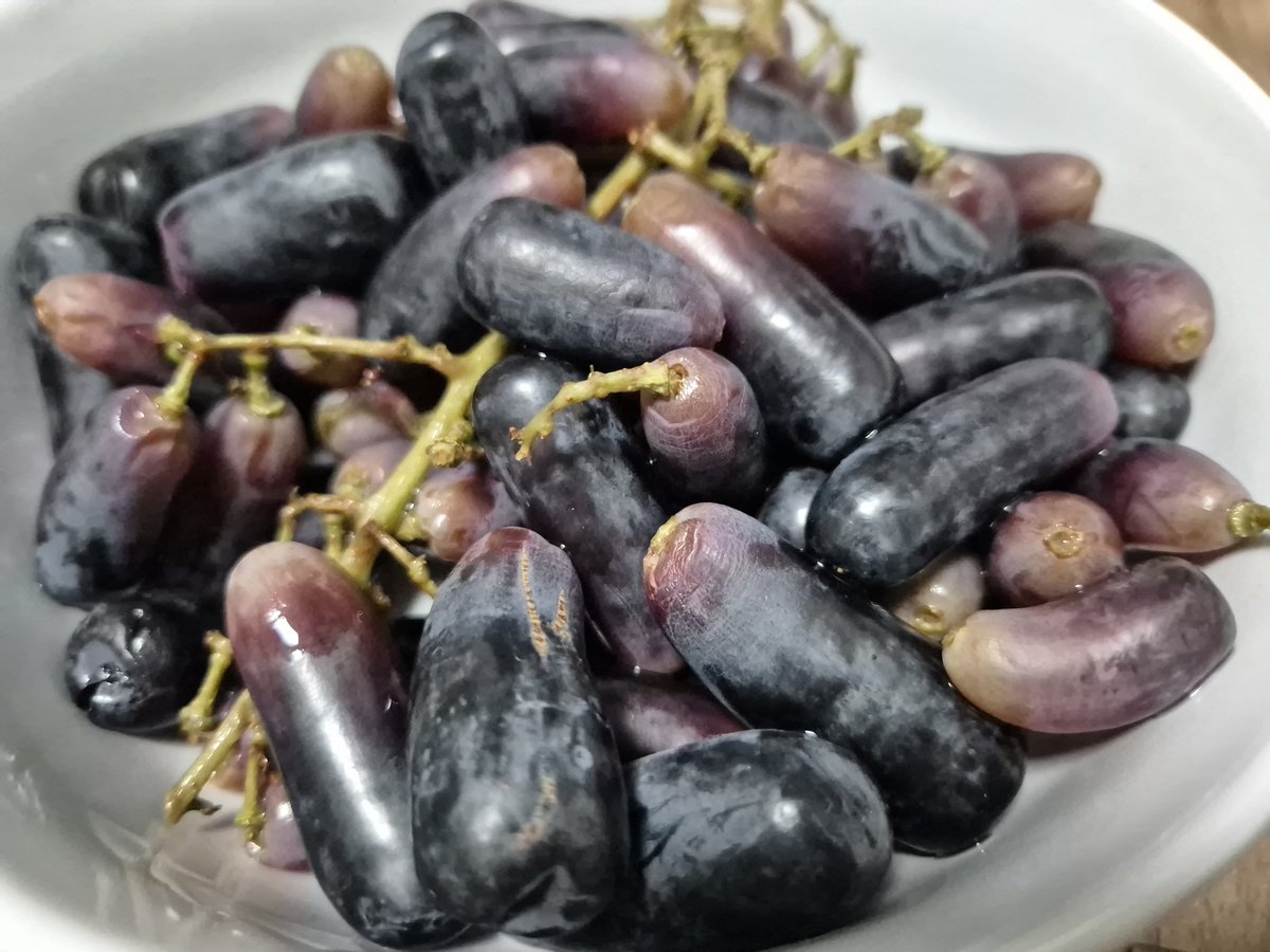 ᴀsᴄʜᴇ tweet media