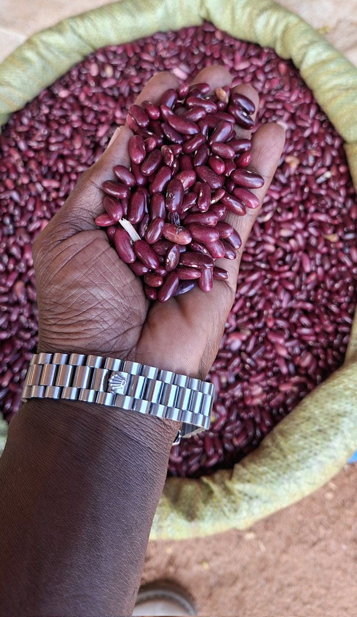 Thomas-Josephat tweet media