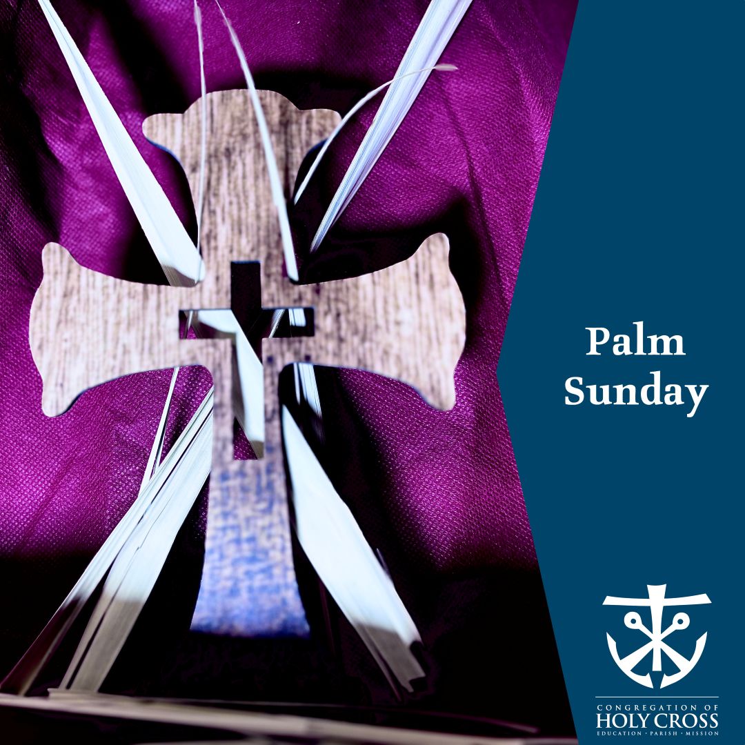 Holy Cross US Prov tweet media