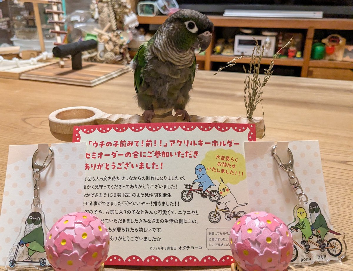 ぴーちゃん tweet media